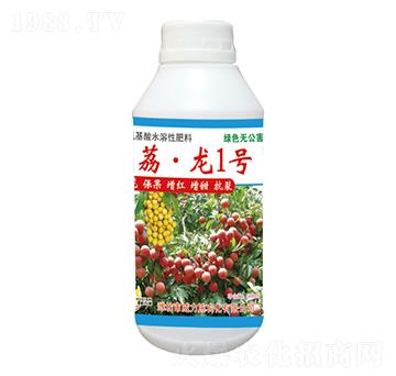 ����1̖-����ʩ