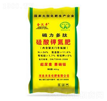 �������Ĺ���⛵���-�����S-���S����