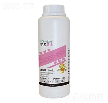 500g��������-��������