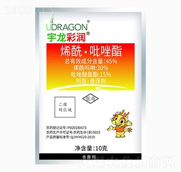 10gϩ����������-�����ʝ�-��������