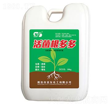 ��������-���|����