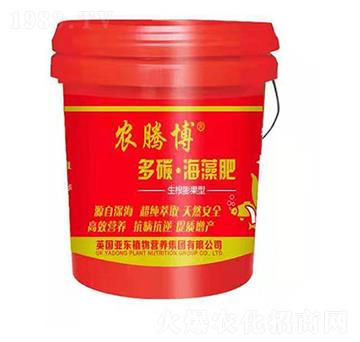 ��̼�����-���|����