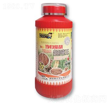 ��(d��ng)�w���������-̩�_(d��)�r(n��ng)��