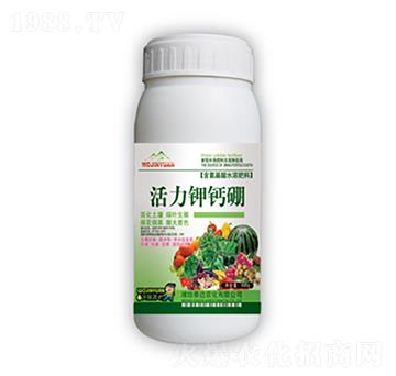 ������}�𣨾G��-̩�_�r(n��ng)��