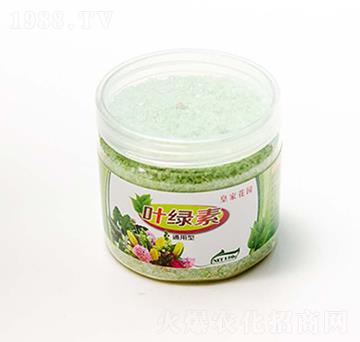 ���܌��÷�-�~�G��-���rʢԴ