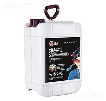 5kg含腐植酸水溶肥料-爆生根-璽禾