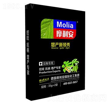 ���ǌ�(zhu��n)��-Ħ����