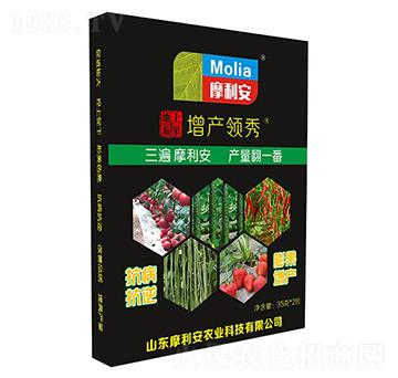 �����ѹ����a(ch��n)�I(l��ng)��-Ħ����