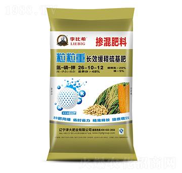 �������26-10-12-������-���ϣ-���ʢԴ