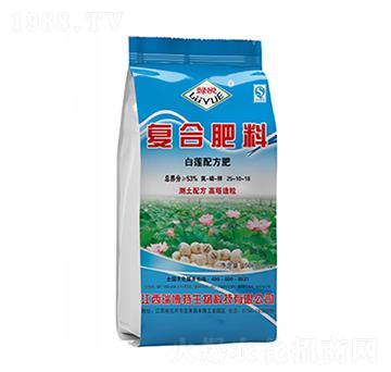 �ͺϷ���25-10-18-�G��-����