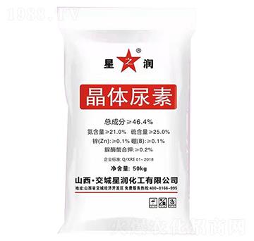 ���w����-�ǝ�����