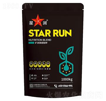 �VԴ�S�����-�ǝ�(r��n)����