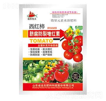 ���t��Ě���������t��-�h�|����