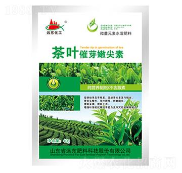 ���~��ѿ�ۼ���-�h�|����