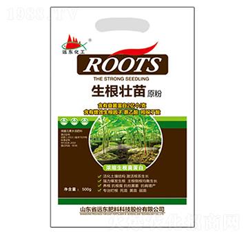 ��������ԭ��-�h�|����