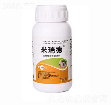 �����ä�������ʳ�T��-�٘���