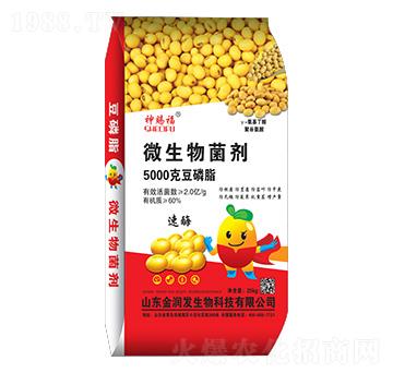 ����֬΢�������-���n��-�𝙰l(f��)����