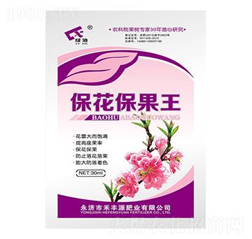 ����������-���SԴ�ʘI(y��)