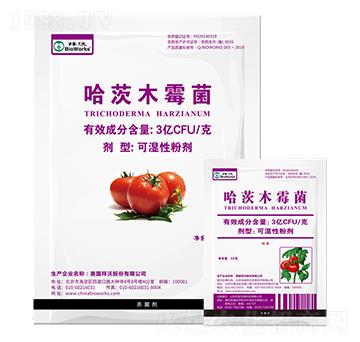 ����ľù���ɝ��Էۄ��~����-����