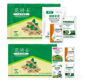 ��������݄�-���Tʿ-�S�՘�