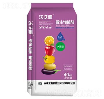 5�|΢�������-���ֵ�-���r(n��ng)(li��n)��