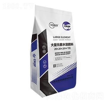 大量元素水溶肥料20-20-20+TE-貝諾豆-貝諾