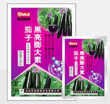 ���Ӻ��������-�A�Z(li��n)��