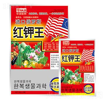 �t���-�A�Z(li��n)��