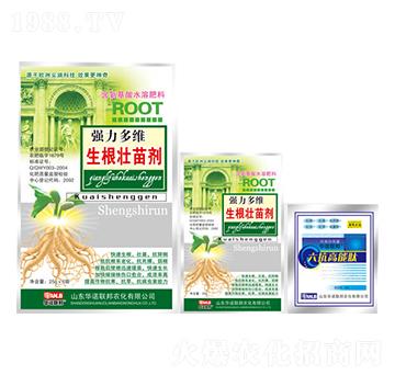 ��S�������焩-�A�Z��