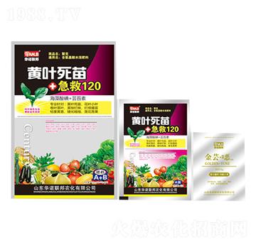 �S�~���缱��120-�A�Z(li��n)��