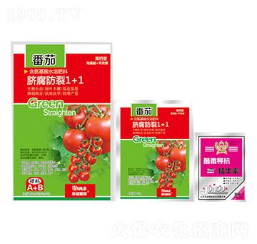 ����Ě������1+1-�A�Z(li��n)��