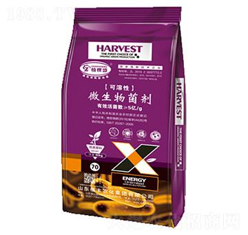 ������΢�������-ֲ��