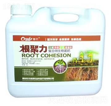 ��(f��)��΢�������-������-�|����(r��n)��