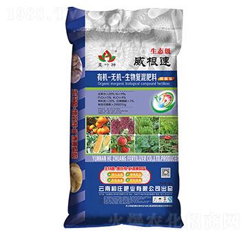 �ЙC(j��)�o(w��)�C(j��)�����(f��)�����11-5-4-���f�ʘI(y��)