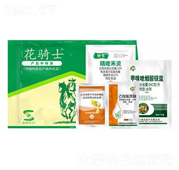 ���݄��ײ�-���Tʿ-�S�՘�(l��)