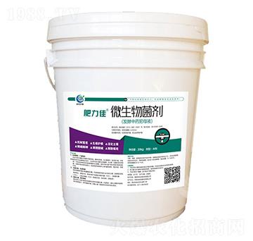 20kg肥力佳微生物菌劑-歐克惠農(nóng)-歐克生物