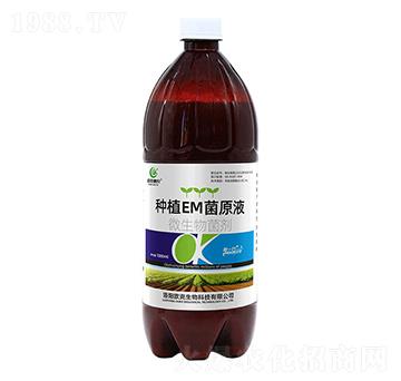種植EM菌原液-歐克惠農(nóng)-歐克生物