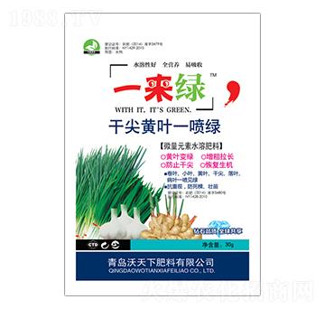 干尖黃葉一噴綠-一來綠-沃天下