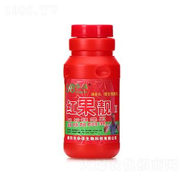 �t���n��500ml��-