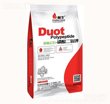 �����|̦��������-���λ���