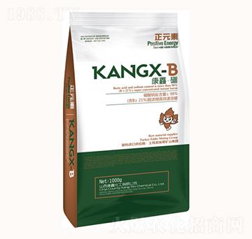 ���Ρ���-���λ���