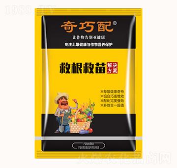 �ȸ�����-������-���λ���