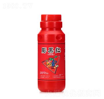 ����t-�A�I