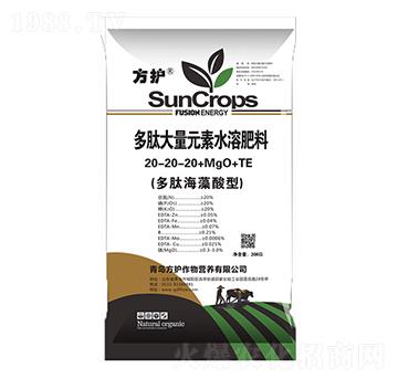 ���Ĵ���Ԫ��ˮ�ܷ�20-20-20+MgO+TE-���o