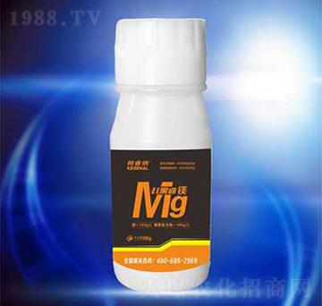 �Ǵ��V-��{