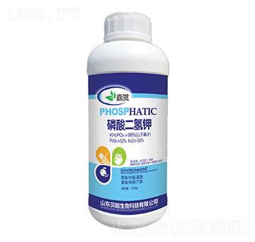 ��������-ؐ������