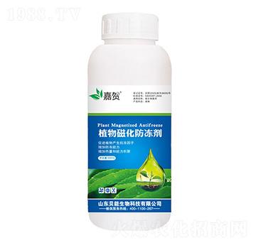 ֲ��Ż�������-���R-ؐ������