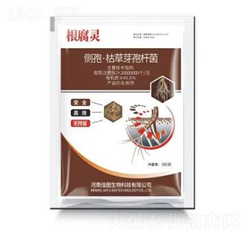 ��(c��)�ߡ��ݲ�ѿ�ߗU��-�����`-�ÌW��