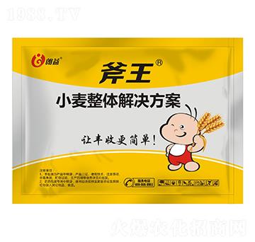 小麥整體解決方案-斧王-朗益-天宸夢