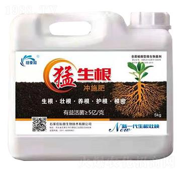 �������_ʩ��-�~����-��������